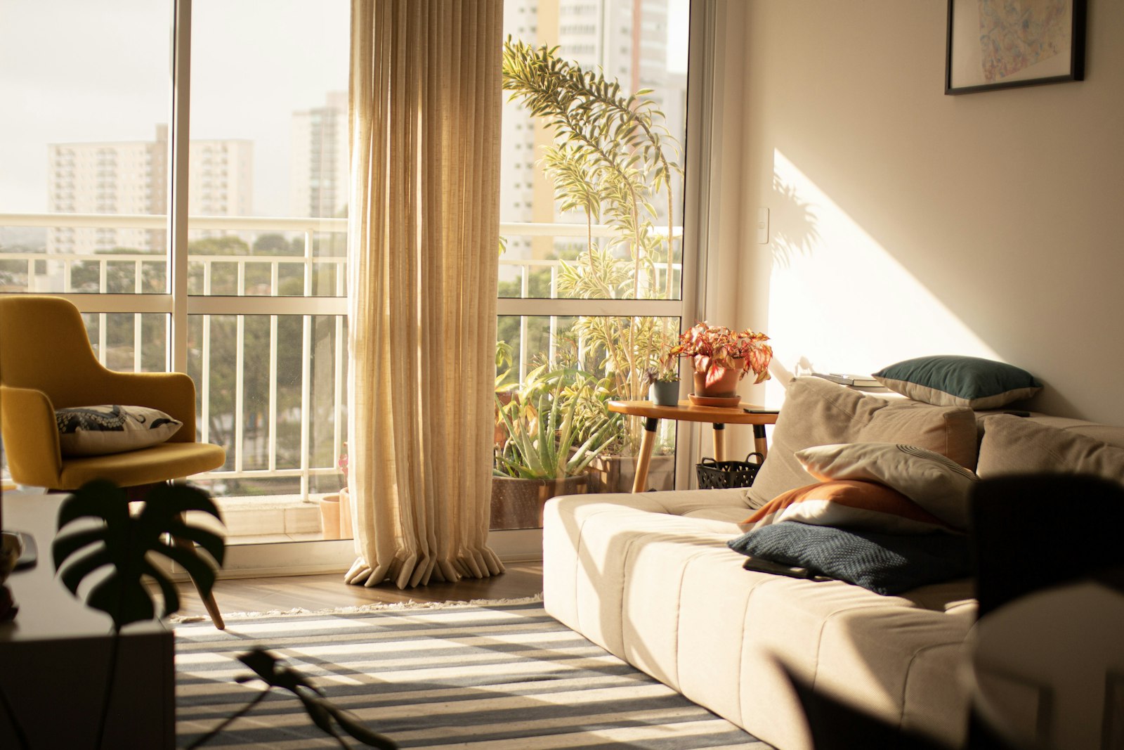 Helles, modern eingerichtetes Wohnzimmer mit Morgensonne